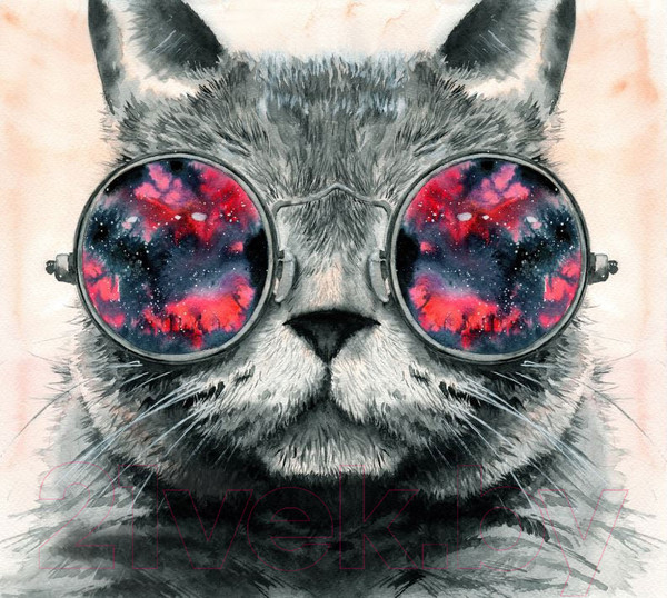 Изображение товара Фотообои листовые ФабрикаФресок Кот в очках / 541100 (110x110)