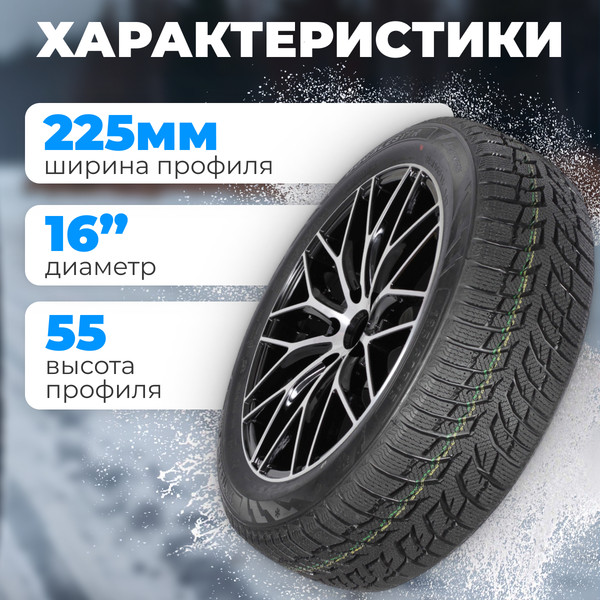 Изображение товара Зимняя шина Autogreen Snow Chaser 2 AW08 225/55R16 95H