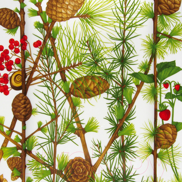 Изображение товара Блюдо Taitu Montagna 2-89