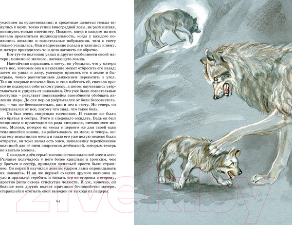 Изображение товара Книга Махаон Белый Клык / 9785389238589 (Лондон Дж.)