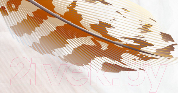 Изображение товара Фотообои листовые ФабрикаФресок Стильные светлые перья / 823270 (300x270)