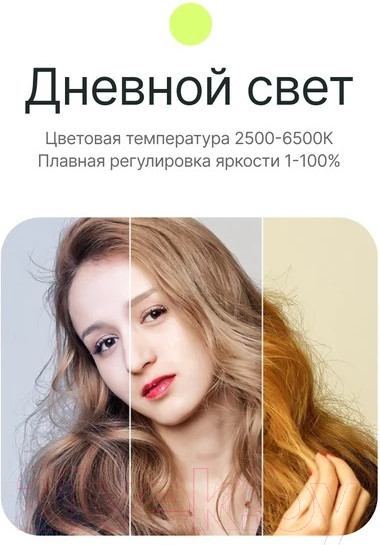 Изображение товара Осветитель студийный RayLab RL-40BI