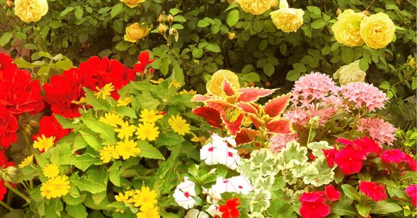 Изображение товара Фотообои листовые ФабрикаФресок Фреска Солнечная улочка с аркой / 854270 (400x270)
