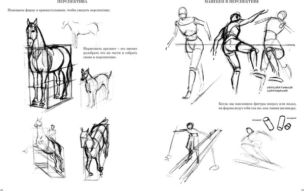 Изображение товара Книга КоЛибри Начинаем рисовать. От первых шагов до профи (Лумис Эндрю)