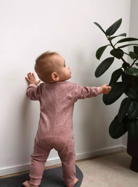 Изображение товара Набор комбинезонов для малышей MOWbaby Birds / 1282 (Rose, р.80)