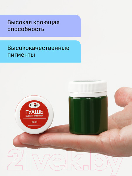 Изображение товара Гуашь ГАММА Модерн / 221004 (12цв)