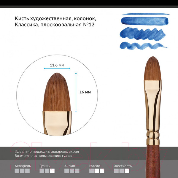 Изображение товара Кисть для рисования ГАММА Классика плоскоовальная №12 / 203012 (колонок)
