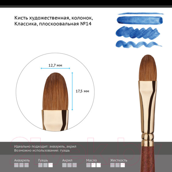 Изображение товара Кисть для рисования ГАММА Классика плоскоовальная №14 / 203014 (колонок)