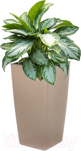 Изображение товара Кашпо El Casa Камелия / 640377 (серо-коричневый)