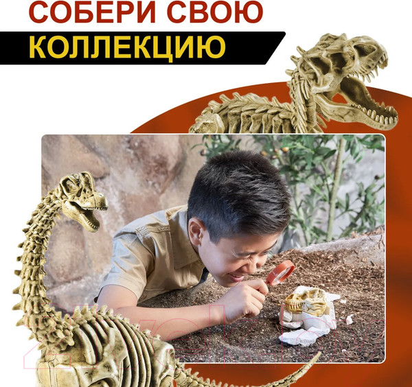 Изображение товара Набор для опытов Zuru Robo Alive Раскопки Динозавра / 71102