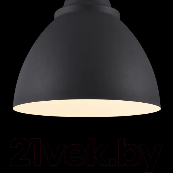 Изображение товара Потолочный светильник Maytoni Bellevue P535PL-01B