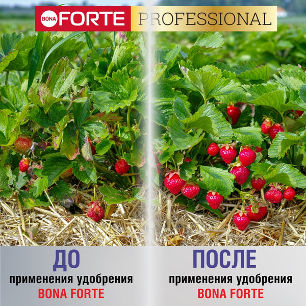 Изображение товара Удобрение Bona Forte Для клубники и ягод с биодоступным кремнием (1л)