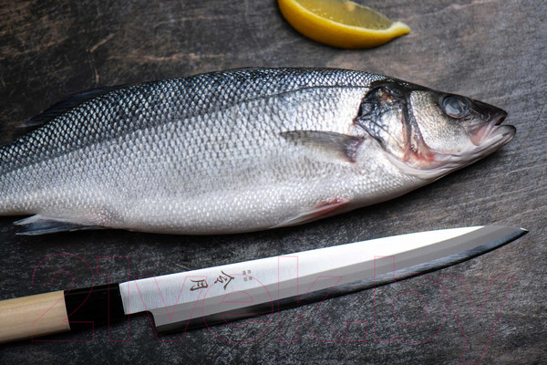 Изображение товара Нож Fuji Cutlery Янагиба FC-1076