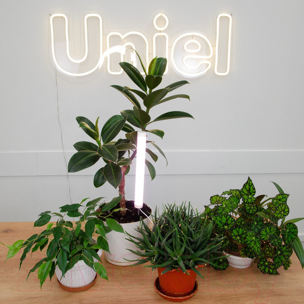 Изображение товара Светильник для растений Uniel ULT-P39-6W/SPLE IP40 / UL-00009112 (светло-розовый)