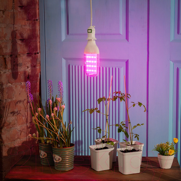 Изображение товара Лампа для растений Uniel LED-B82-12W/SPBR/E27/CL PLP33WH / UL-00007647