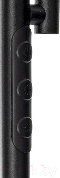 Изображение товара Торшер Citilux Click CL810011 (черный)