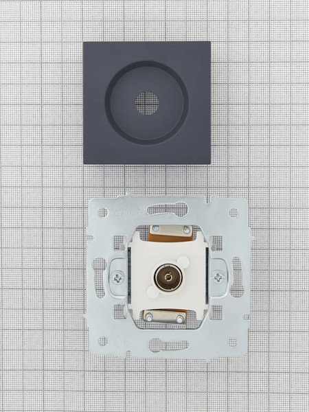 Изображение товара Розетка Lezard Vesna 742-3488-130