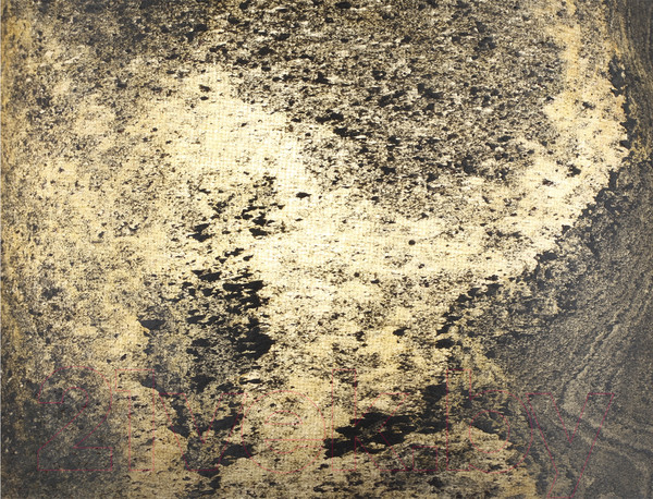 Изображение товара Бра Odeon Light Bergi 5064/1W