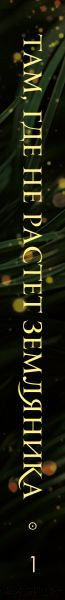 Изображение товара Книга Эксмо Там, где не растет земляника. Книга 1 / 9785041811037 (Соболева Е.)