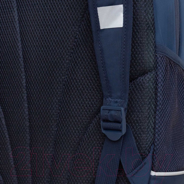 Изображение товара Школьный рюкзак Grizzly RG-463-5 (синий)