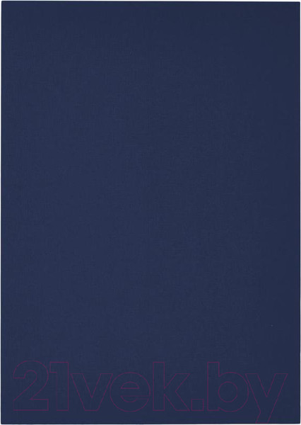 Изображение товара Обложки для переплета ProMega Office A4 250г/м2 / 254620 (100шт, синий)