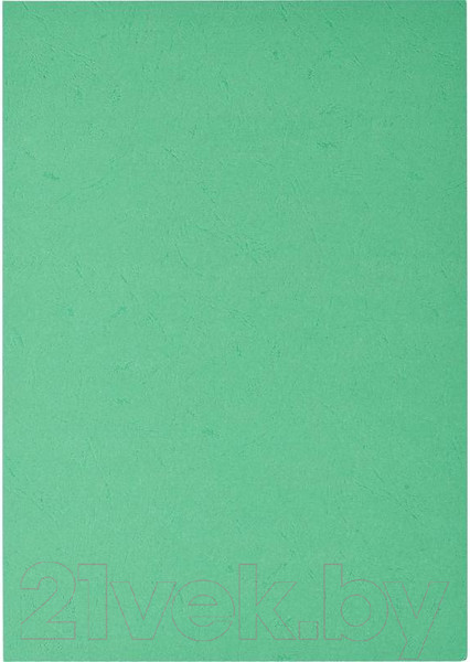 Изображение товара Обложки для переплета ProMega Office А4 230г/м2 / 254601 (100шт, зеленый)