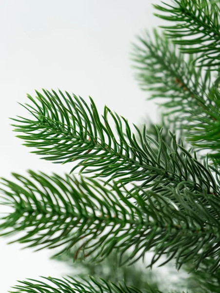 Изображение товара Ель искусственная National Tree Company Сказка / СК-160 (160см)