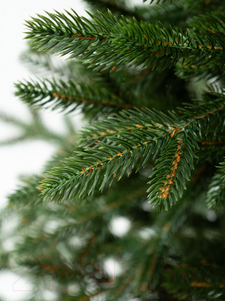 Изображение товара Ель искусственная National Tree Company Форест / Фор-160 (160см)