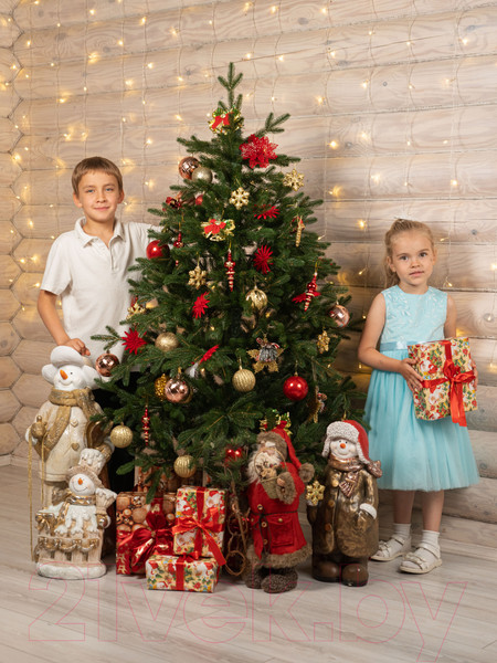 Изображение товара Ель искусственная National Tree Company Форест / Фор-160 (160см)