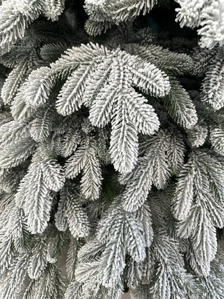 Изображение товара Ель искусственная National Tree Company Ариадна заснеженная / АРД/ЗСН-210 (210см)