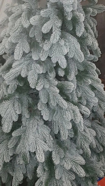 Изображение товара Ель искусственная National Tree Company Ариадна заснеженная / АРД/ЗСН-210 (210см)
