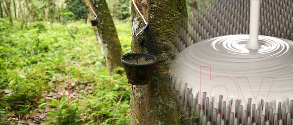 Изображение товара Наматрасник ортопедический Coala Home 160x200x7.5