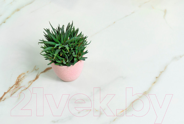 Изображение товара Плитка Laparet Venato Calacatta Gold Velvet (600x600)