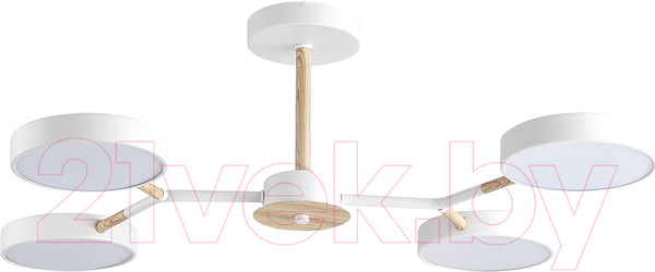 Изображение товара Люстра Lumion Brad 5652/72CL