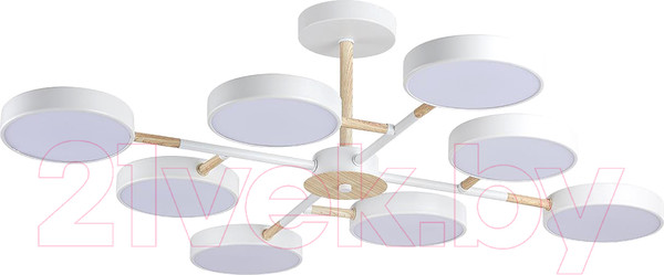 Изображение товара Люстра Lumion Brad 5653/99CL