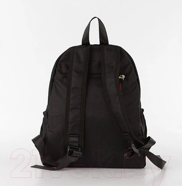Изображение товара Рюкзак Ecotope 274-3095-BLK (черный)