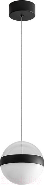 Изображение товара Потолочный светильник Odeon Light Roni 5075/12L