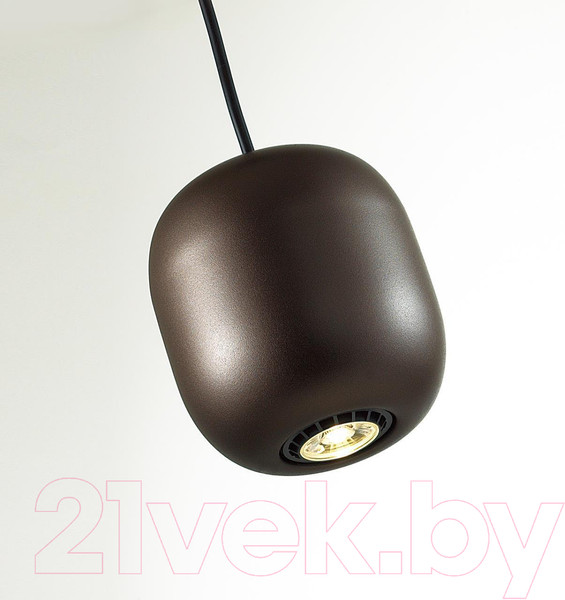 Изображение товара Потолочный светильник Odeon Light Cocoon 5060/1DA