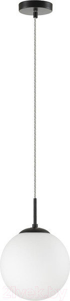 Изображение товара Потолочный светильник Lumion Summer 6510/1B