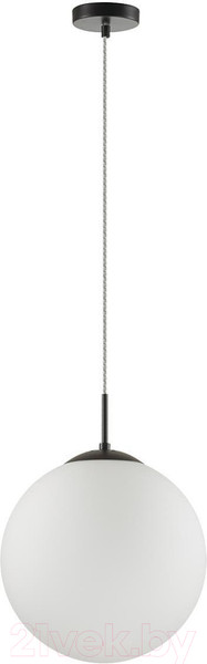 Изображение товара Потолочный светильник Lumion Summer 6510/1A