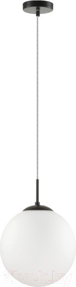 Изображение товара Потолочный светильник Lumion Summer 6510/1