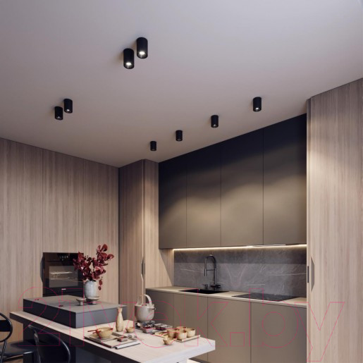 Изображение товара Точечный светильник Odeon Light Redo 6619/10CL