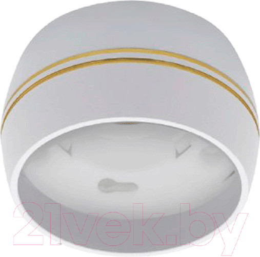 Изображение товара Точечный светильник INhome НПБ DECO-GX53-RS-WG / 4690612046396 (белый)