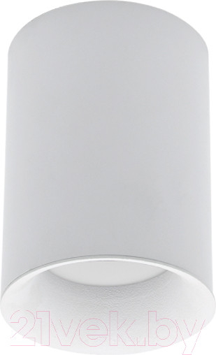 Изображение товара Точечный светильник INhome НПБ Цилиндр-GU10-WH/WH / 4690612046754 (белый)