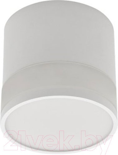 Изображение товара Точечный светильник INhome НПБ Цилиндр-GX53-WL-WH / 4690612045733 (белый)