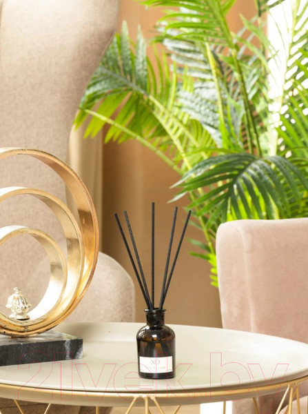 Изображение товара Аромадиффузор Arida Home XO The Accent (50мл)