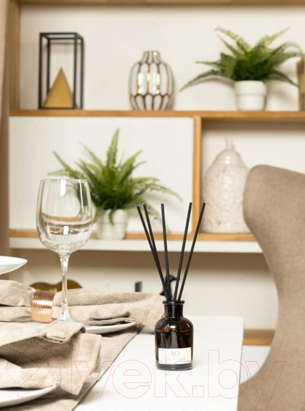 Изображение товара Аромадиффузор Arida Home XO The Accent (50мл)