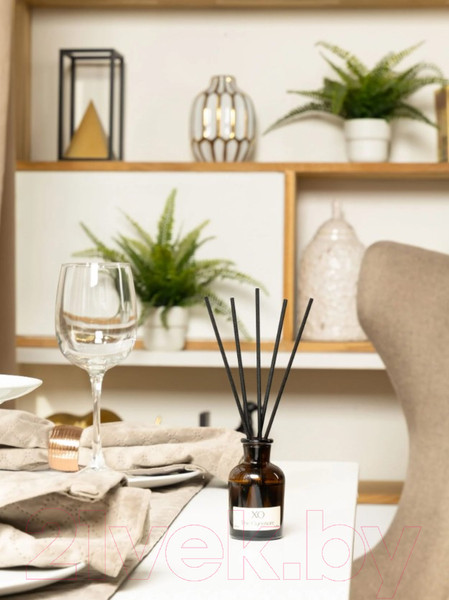 Изображение товара Аромадиффузор Arida Home XO The Cynosure (50мл)