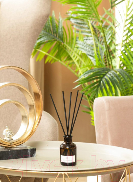 Изображение товара Аромадиффузор Arida Home XO The Balance (50мл)