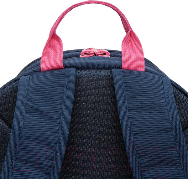 Изображение товара Школьный рюкзак Grizzly RG-463-6 (синий)